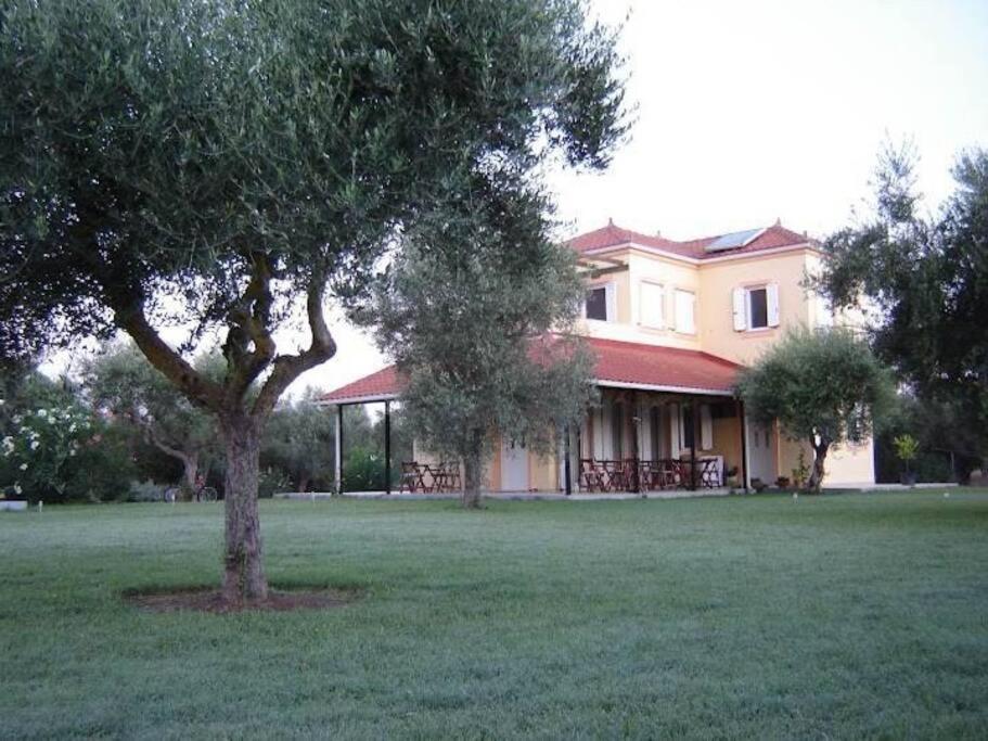 Ferienhaus Phyllida - A2 Zacharo